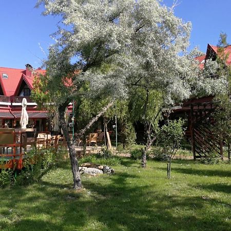 Pensiunea Casa Matei Hotel Berca Buitenkant foto