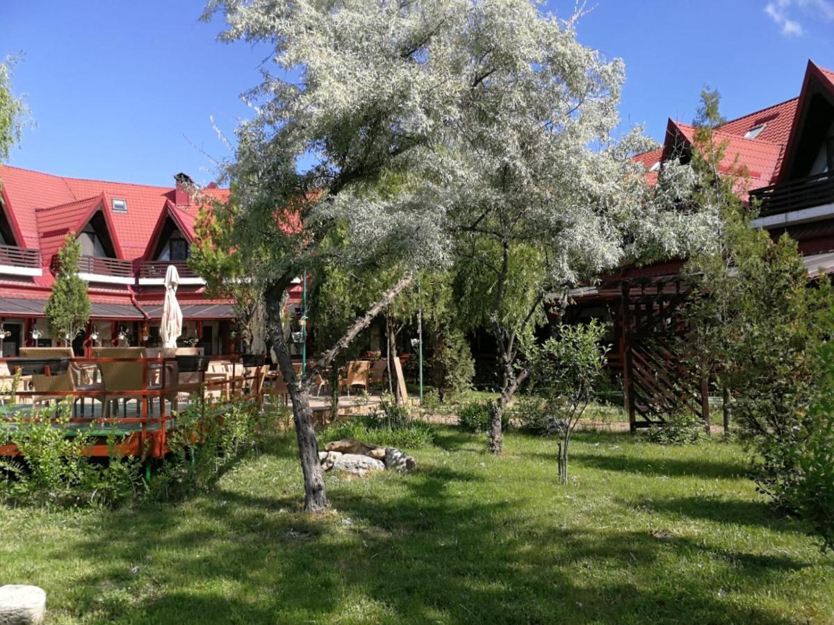 Pensiunea Casa Matei Hotel Berca Buitenkant foto