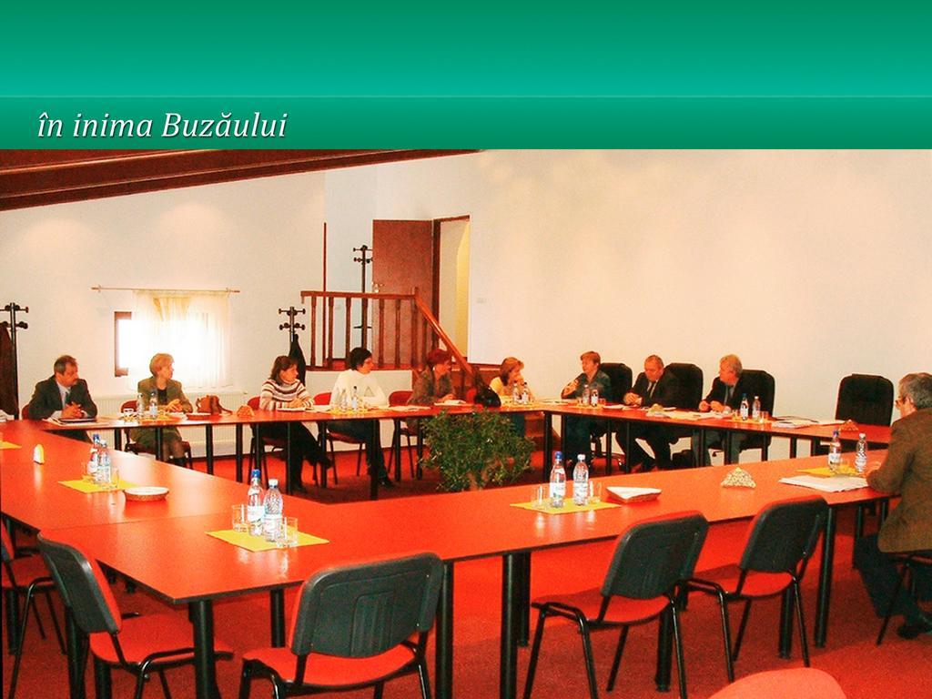 Pensiunea Casa Matei Hotel Berca Buitenkant foto