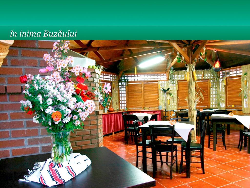 Pensiunea Casa Matei Hotel Berca Buitenkant foto