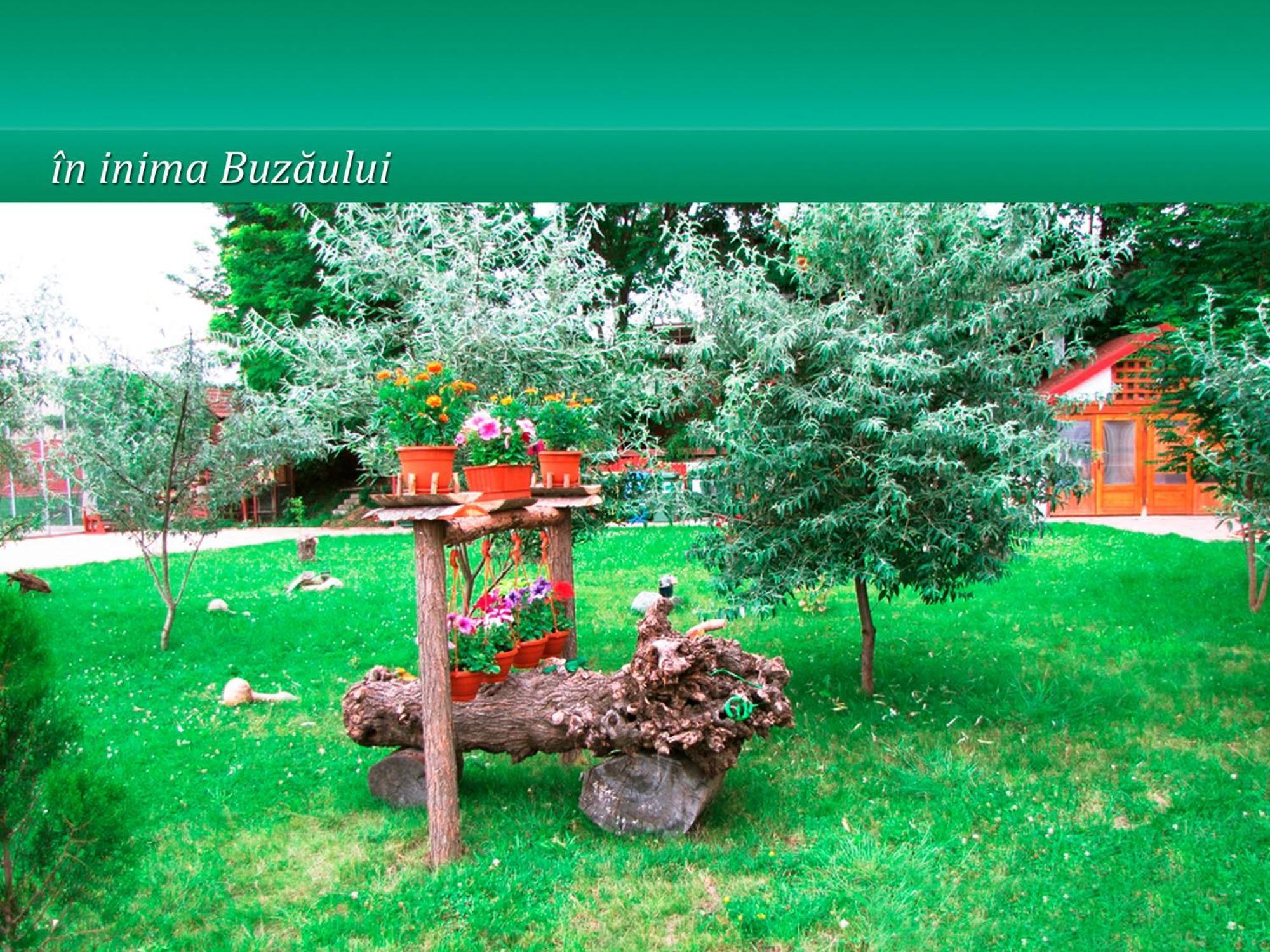 Pensiunea Casa Matei Hotel Berca Buitenkant foto