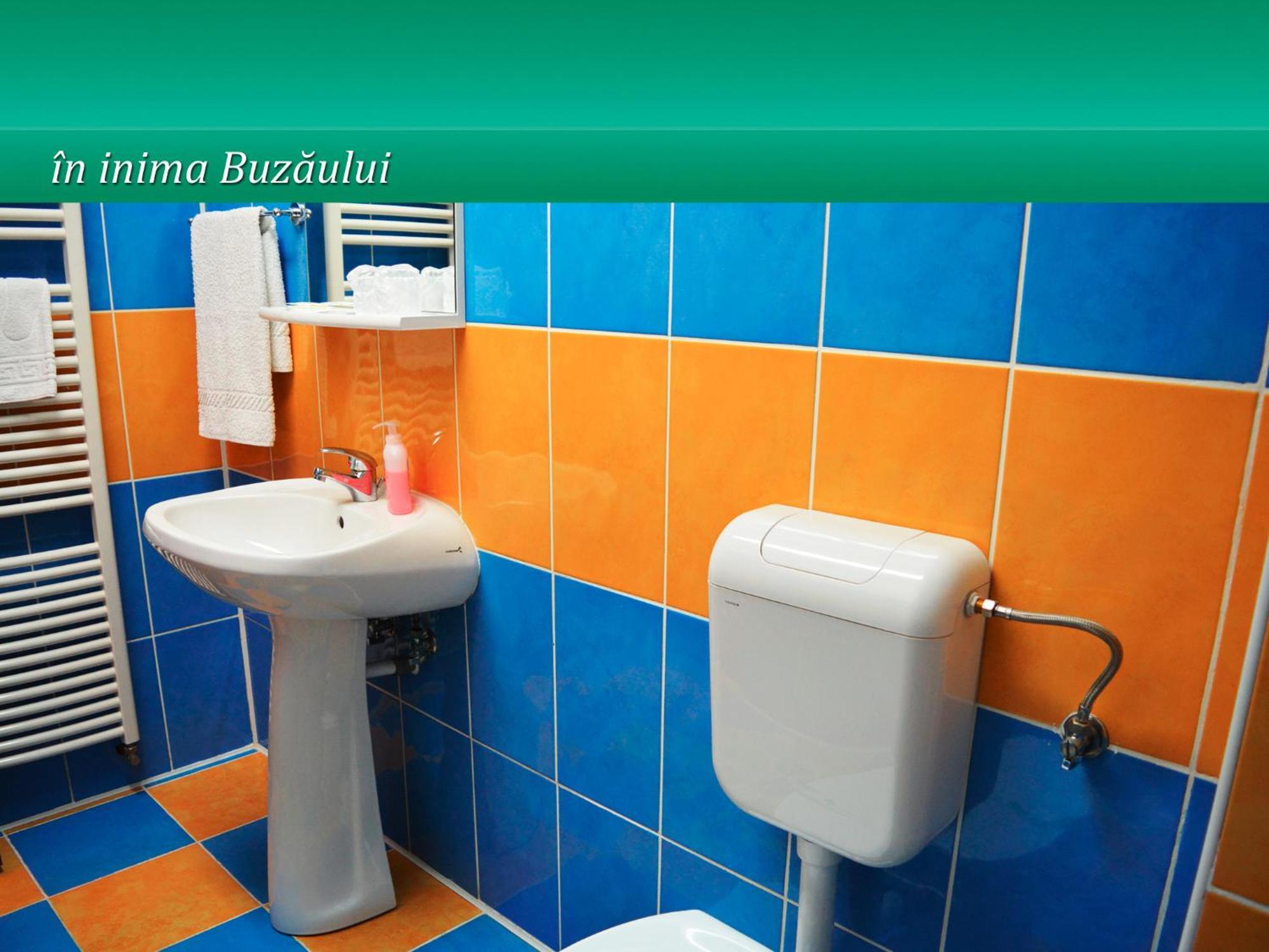 Pensiunea Casa Matei Hotel Berca Buitenkant foto